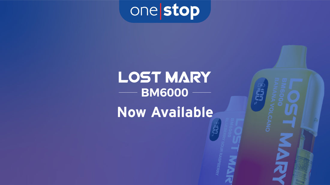 Lost Mary BM6000 Pod Kit