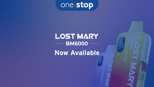 Lost Mary BM6000 Pod Kit