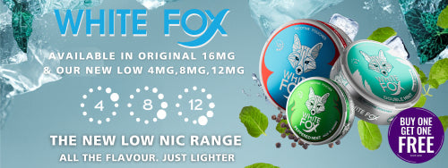 White Fox & Siberia