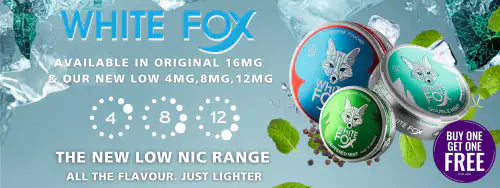 White Fox & Siberia