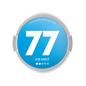 77 Nicotine pouches Ice Mint 5.2mg