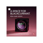 FUMI POS - Window Sticker - Blackcurrant