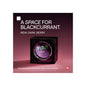 FUMI POS - Window Sticker - Blackcurrant