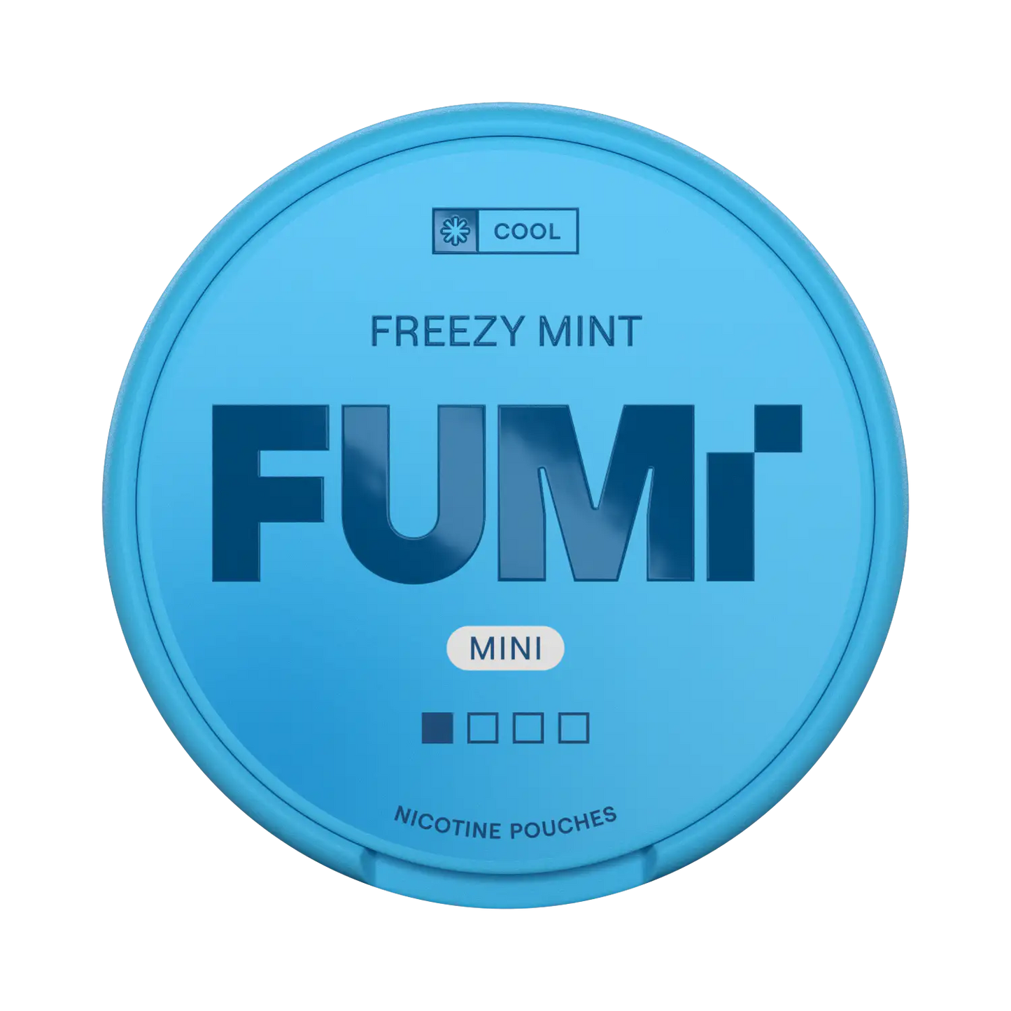 FUMI Freezy Mint Mini