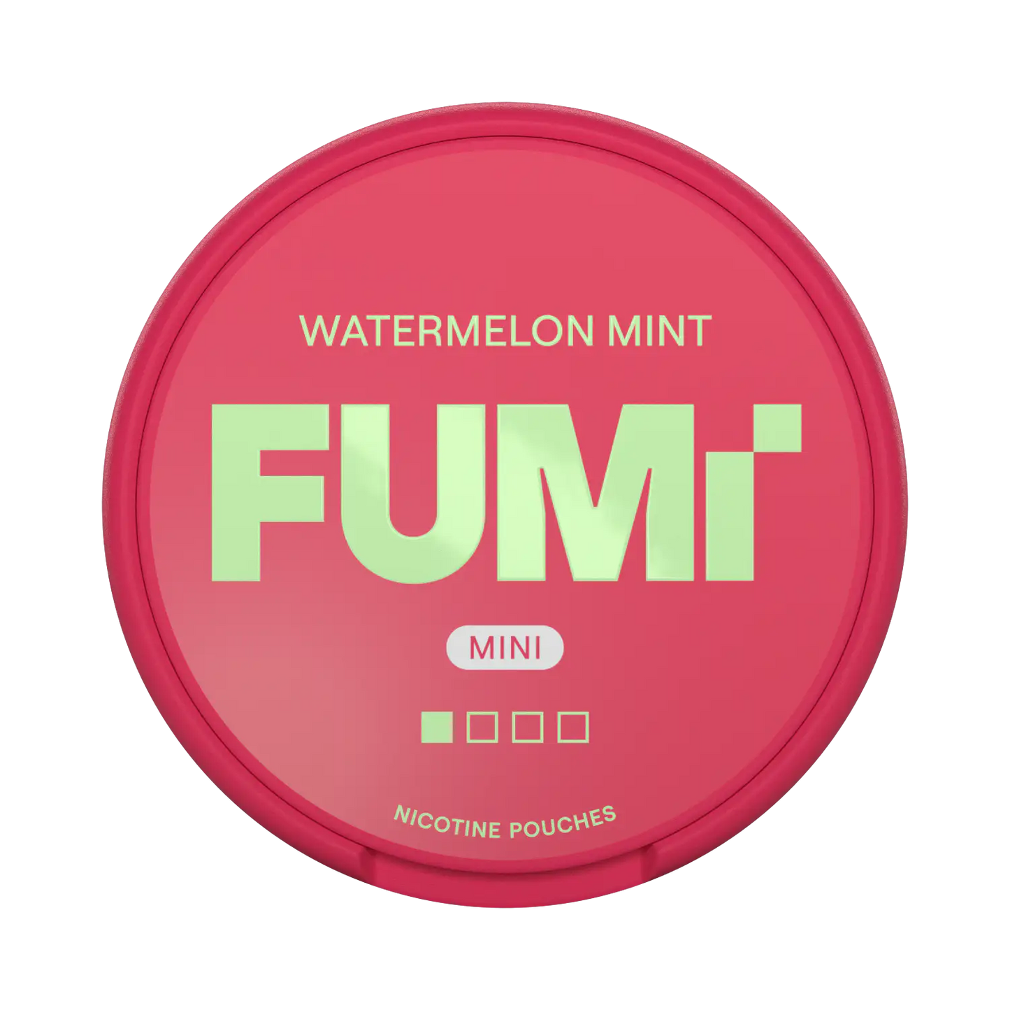 FUMI Watermelon Mint Mini