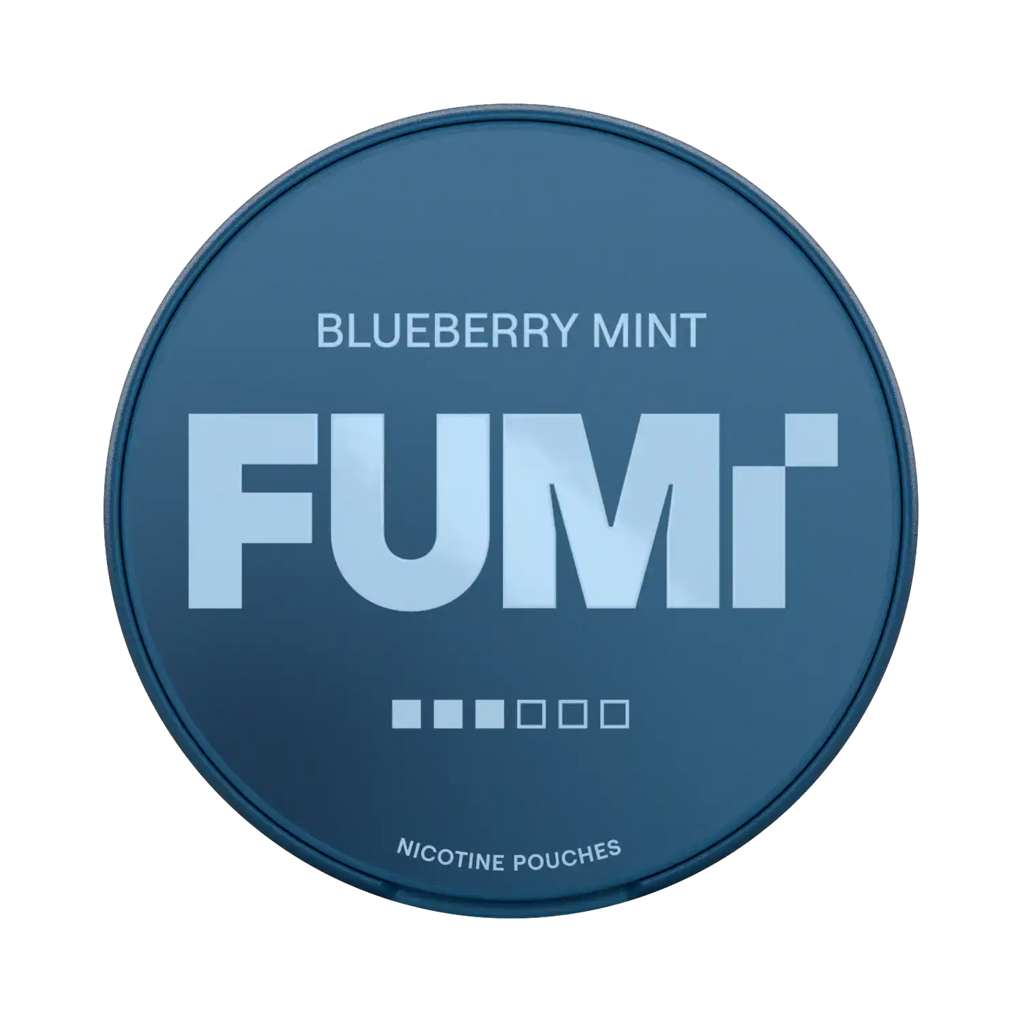 FUMI 2.0 Blueberry Mint 8mg (10)