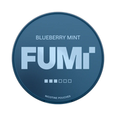 FUMI 2.0 Blueberry Mint 8mg (10)