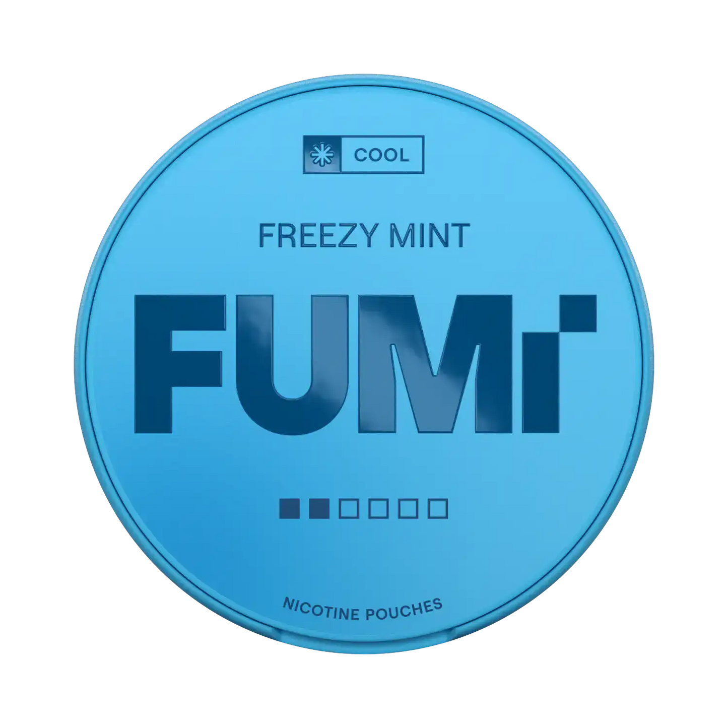 FUMI 2.0 Freezy Mint 4mg (10)