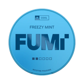FUMI 2.0 Freezy Mint 4mg (10)